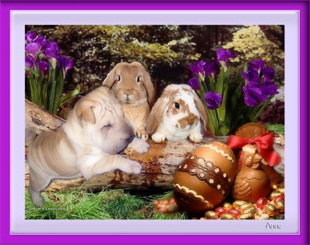 Joyeuse Pâques....