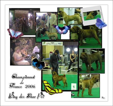 18 juin 2006.......