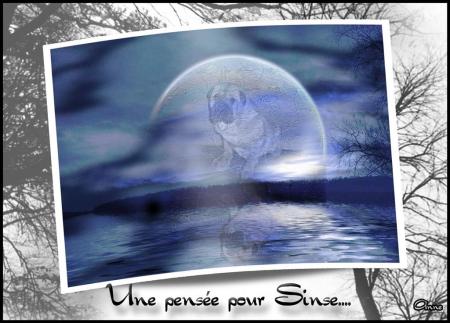 A ta mmoire jolie Sinse ......