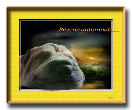 oups aujourd'hui..........