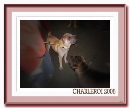CHARLEROI 2005