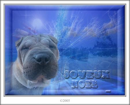 Joyeux Noël...........